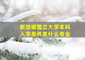 新加坡国立大学本科入学条件是什么专业