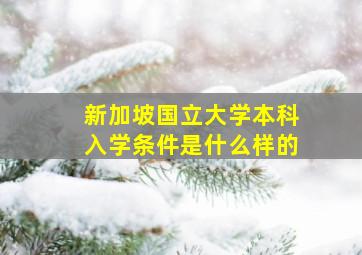 新加坡国立大学本科入学条件是什么样的