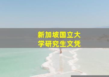 新加坡国立大学研究生文凭