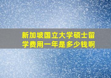 新加坡国立大学硕士留学费用一年是多少钱啊