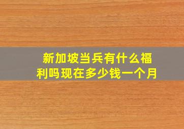 新加坡当兵有什么福利吗现在多少钱一个月