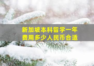 新加坡本科留学一年费用多少人民币合适