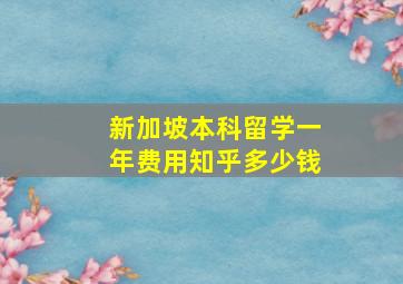 新加坡本科留学一年费用知乎多少钱