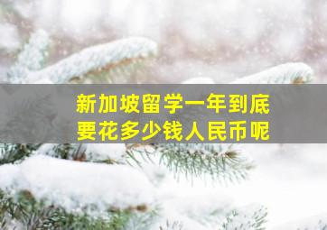 新加坡留学一年到底要花多少钱人民币呢