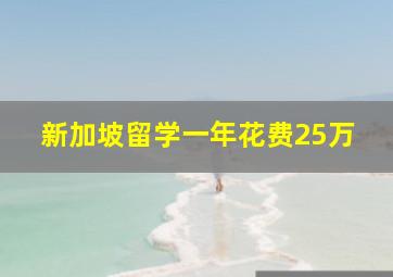 新加坡留学一年花费25万