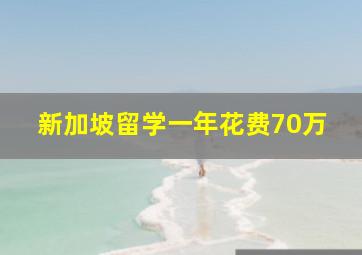 新加坡留学一年花费70万