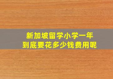 新加坡留学小学一年到底要花多少钱费用呢