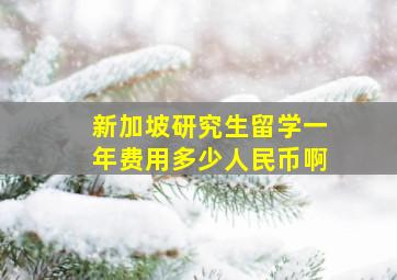 新加坡研究生留学一年费用多少人民币啊