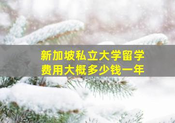 新加坡私立大学留学费用大概多少钱一年