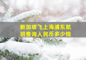 新加坡飞上海浦东航班查询人民币多少钱