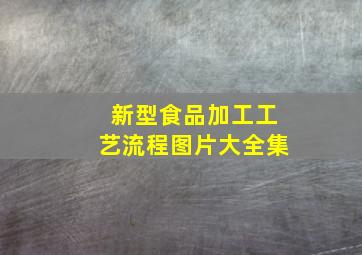 新型食品加工工艺流程图片大全集