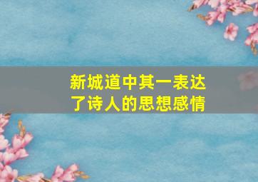 新城道中其一表达了诗人的思想感情