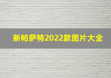 新帕萨特2022款图片大全