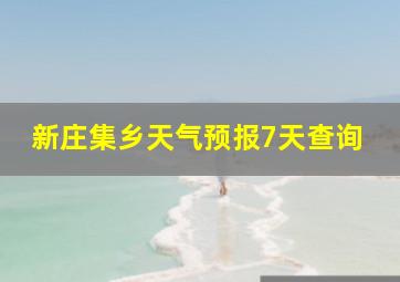 新庄集乡天气预报7天查询