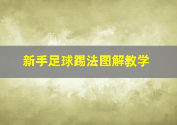 新手足球踢法图解教学