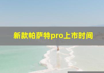 新款帕萨特pro上市时间