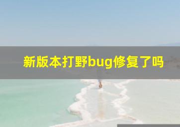 新版本打野bug修复了吗