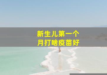 新生儿第一个月打啥疫苗好