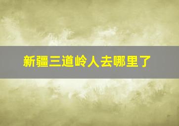 新疆三道岭人去哪里了