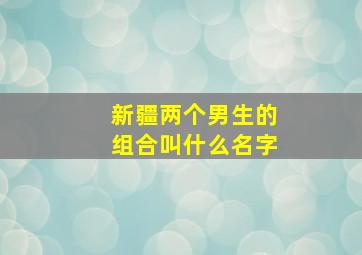 新疆两个男生的组合叫什么名字