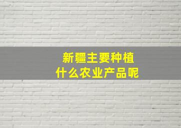 新疆主要种植什么农业产品呢