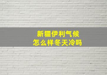 新疆伊利气候怎么样冬天冷吗