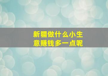 新疆做什么小生意赚钱多一点呢