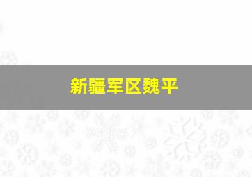 新疆军区魏平