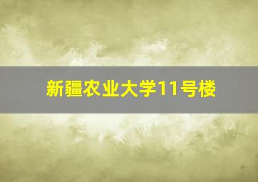 新疆农业大学11号楼