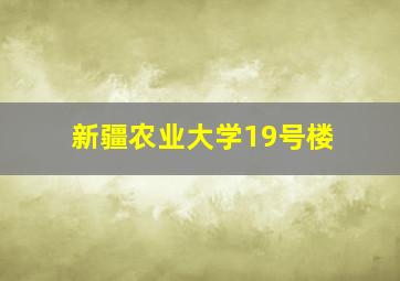 新疆农业大学19号楼