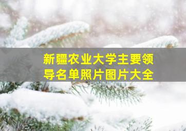 新疆农业大学主要领导名单照片图片大全