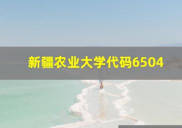 新疆农业大学代码6504