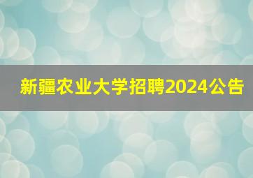 新疆农业大学招聘2024公告