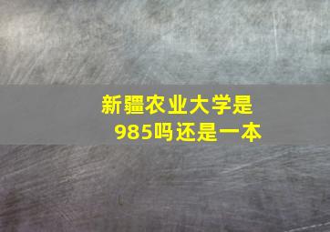 新疆农业大学是985吗还是一本