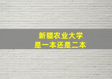 新疆农业大学是一本还是二本