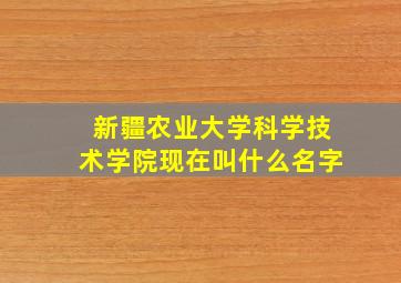 新疆农业大学科学技术学院现在叫什么名字