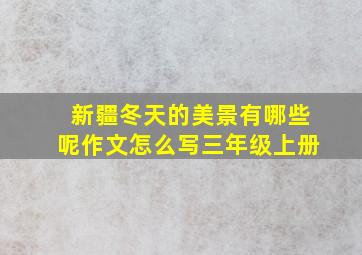 新疆冬天的美景有哪些呢作文怎么写三年级上册