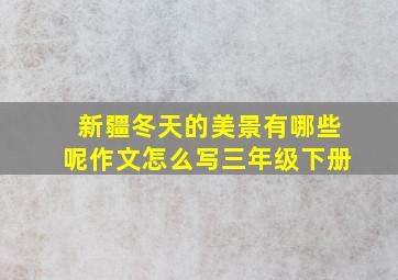 新疆冬天的美景有哪些呢作文怎么写三年级下册