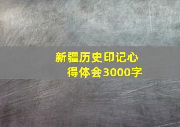 新疆历史印记心得体会3000字