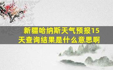 新疆哈纳斯天气预报15天查询结果是什么意思啊