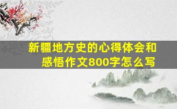 新疆地方史的心得体会和感悟作文800字怎么写