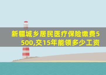 新疆城乡居民医疗保险缴费5500,交15年能领多少工资