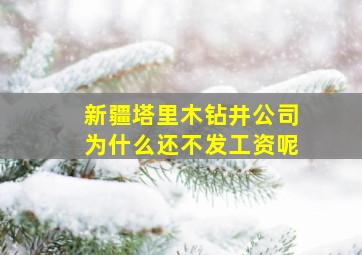 新疆塔里木钻井公司为什么还不发工资呢