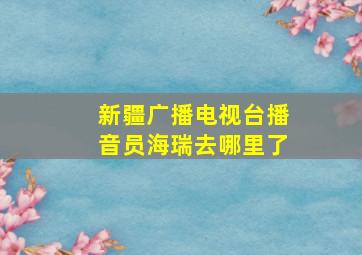 新疆广播电视台播音员海瑞去哪里了