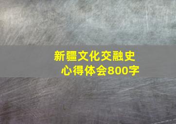 新疆文化交融史心得体会800字