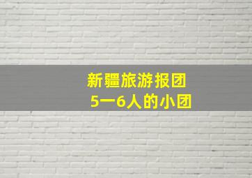 新疆旅游报团5一6人的小团