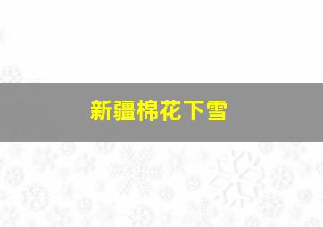 新疆棉花下雪