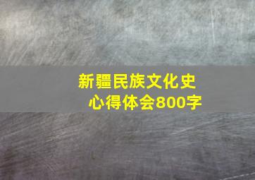 新疆民族文化史心得体会800字