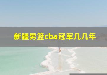 新疆男篮cba冠军几几年