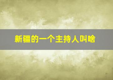 新疆的一个主持人叫啥